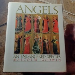 Angels An Endangered Species Hardcover Book